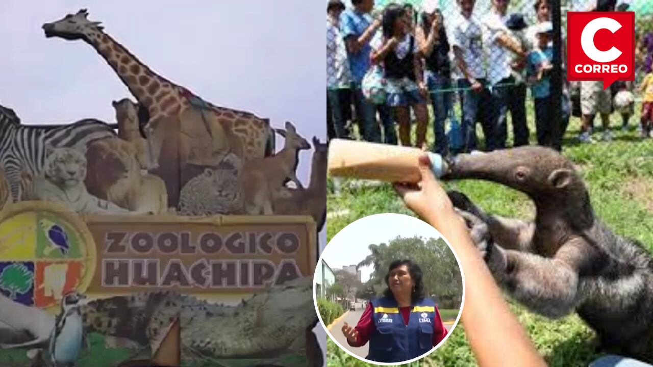 El zoológico de Huachipa está en remodelación.