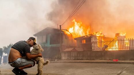Chile en llamas: 16 muertos y 50.000 evacuados por incendios forestales en Biobío y Ñuble