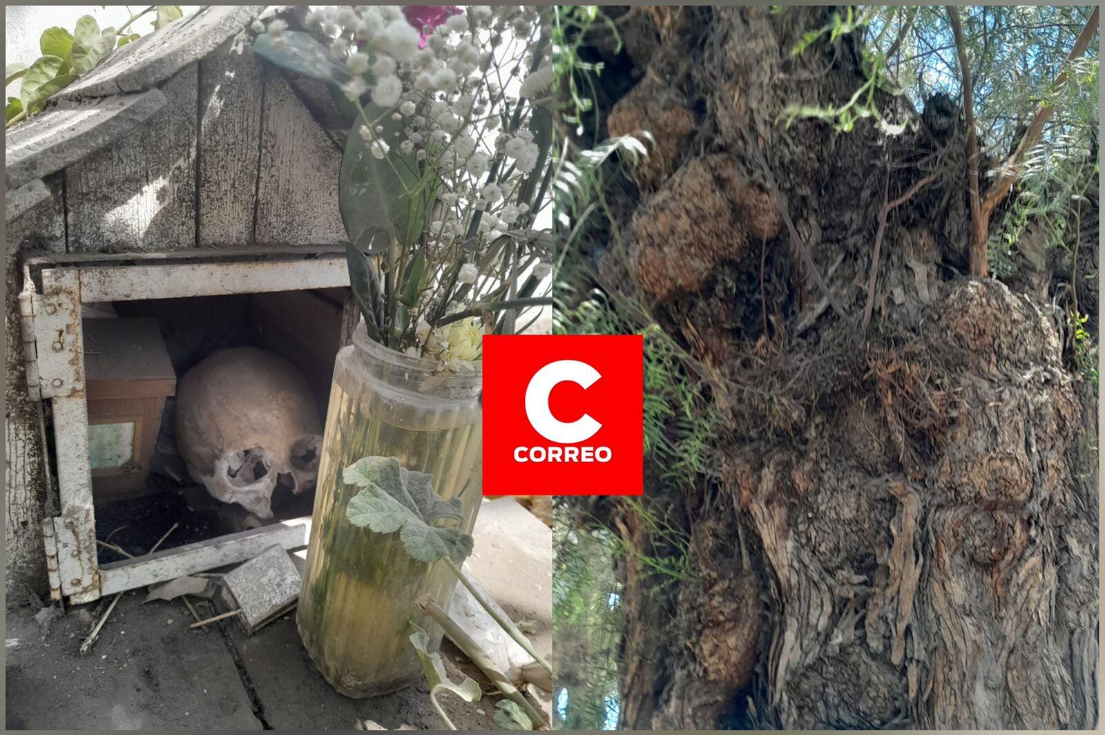 Visitas guías en el cementerio de Sachaca como alternativa para Noche de Brujas. (Foto: Difusión)