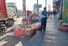 Maltrato animal en Arequipa: Cuestionan liberación tras muerte de perro en Majes