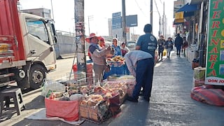 Maltrato animal en Arequipa: Cuestionan liberación tras muerte de perro en Majes