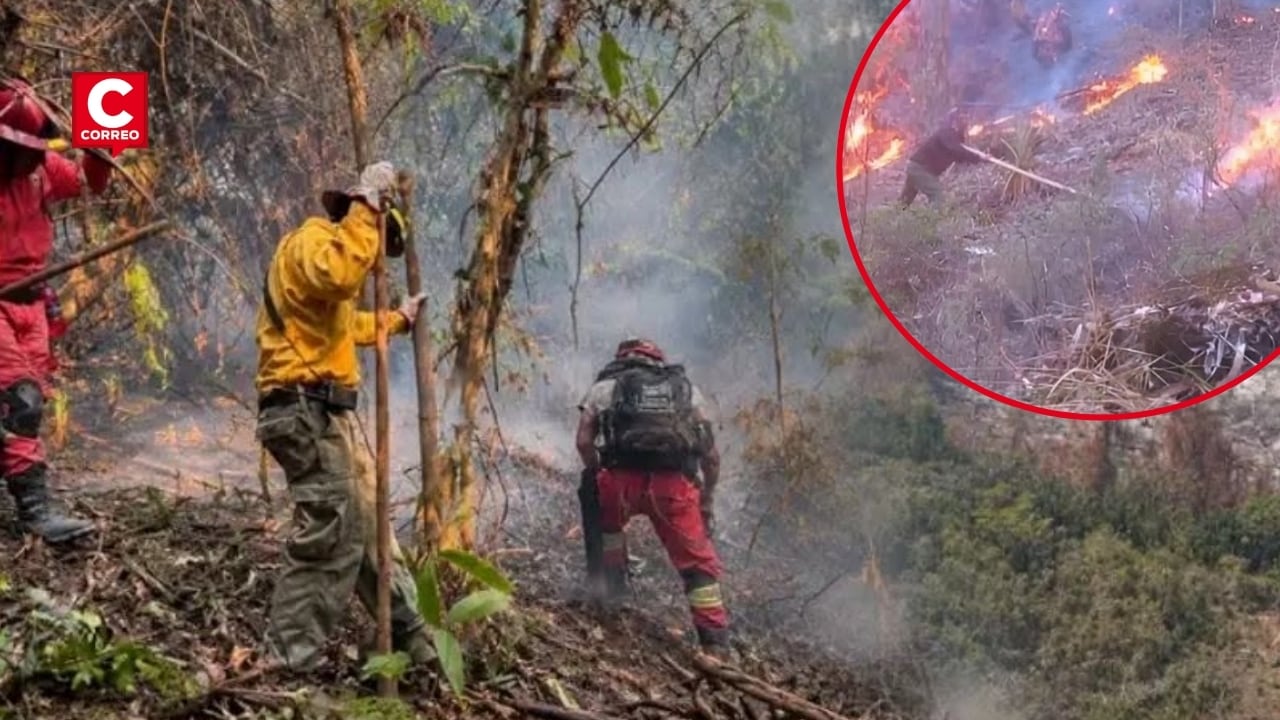 Junín: incendio forestal destruye más de 250 hectáreas y pone en riesgo viviendas y cultivos asháninkas. Composición: Diario Correo.