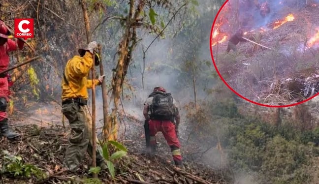 Incendios forestales se podrían presentar en nueve regiones del país. Composición: Diario Correo.