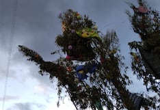 Huancayo: Joven queda grave tras caerle árbol en fiesta de cortamonte