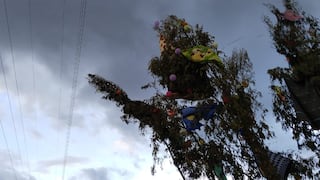 Huancayo: Joven queda grave tras caerle árbol en fiesta de cortamonte