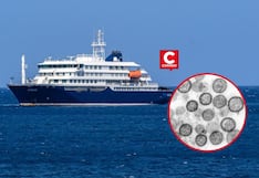 OMS descarta riesgo para la población tras brote de hantavirus en crucero