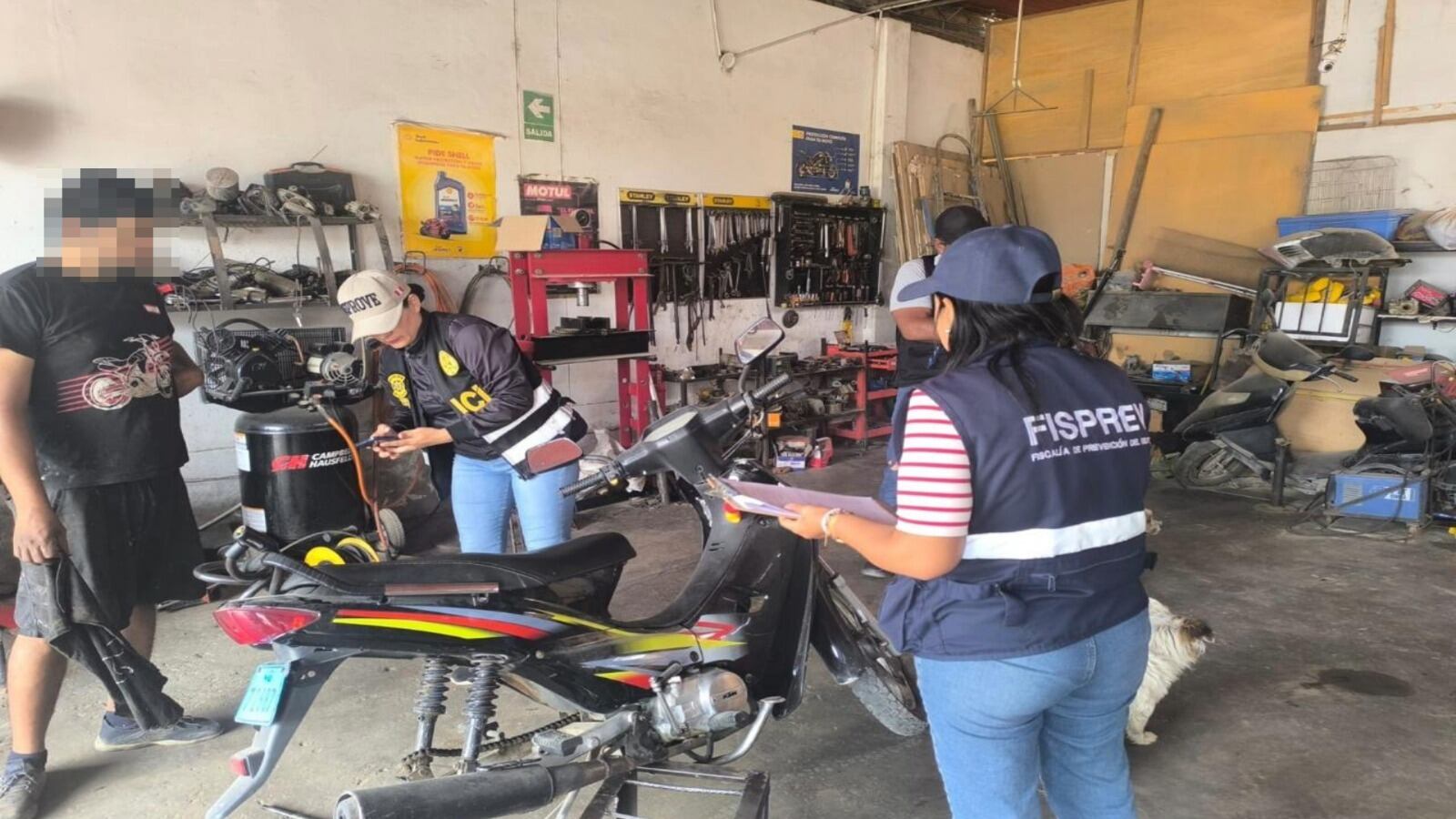 Fiscalía y la policía realizan operativos