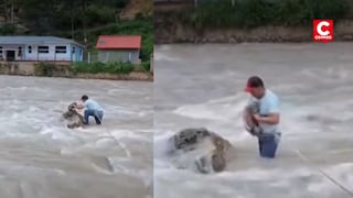 Sereno arriesga su vida para rescatar a gato atrapado en un río en Huánuco