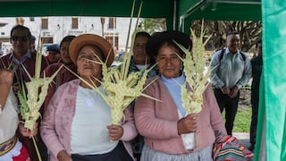 Fe viva en Huancayo con palmas y tanta wawas en Semana Santa