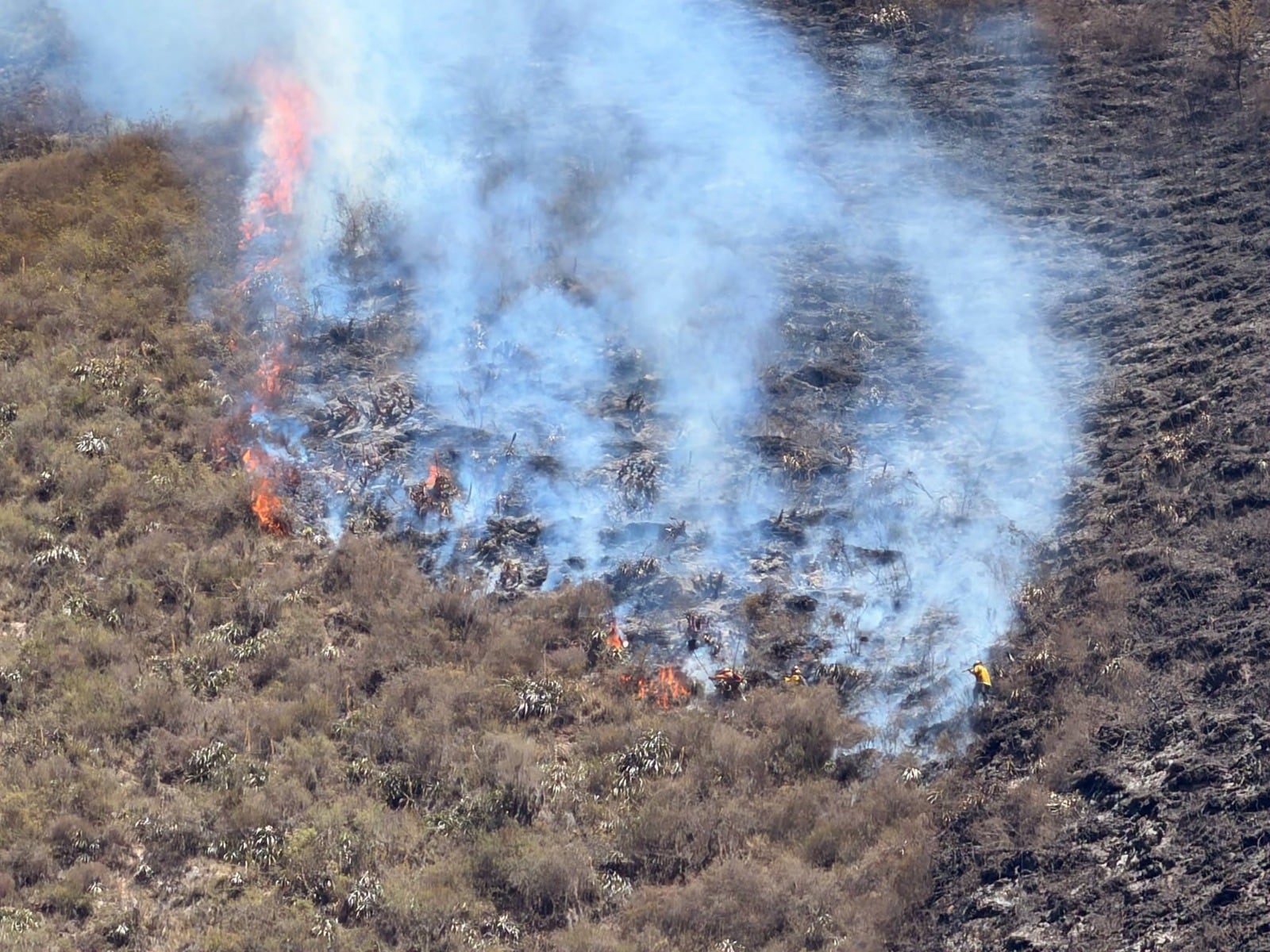 Incendios forestales en Perú: por qué el fuego se propaga más rápido y qué medidas ayudan a prevenirlo