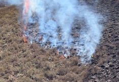 Incendios forestales en Perú: por qué el fuego se propaga más rápido y qué medidas ayudan a prevenirlo