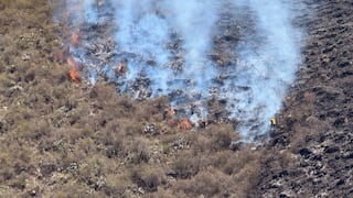 Incendios forestales en Perú: por qué el fuego se propaga más rápido y qué medidas ayudan a prevenirlo