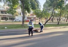 Mujer muere en Arequipa luego de ser atropellada y trasladada al hospital (VIDEO)