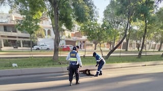 Mujer muere en Arequipa luego de ser atropellada y trasladada al hospital (VIDEO)