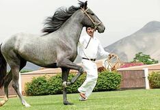Majestuosidad de los caballos peruanos de paso hoy y mañana en el Country Club de Tiabaya