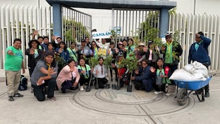 Más de 1,100 adventistas desarrollan actividades de voluntariado en Tacna