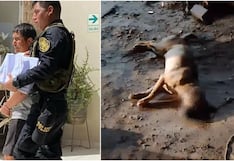 Crueldad animal en Nasca: ahorca con una soga a perro hasta causarle la muerte
