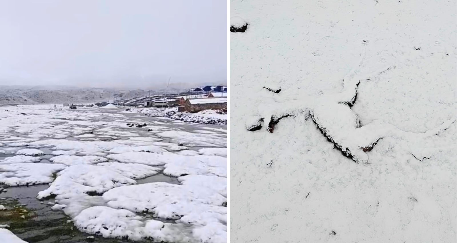 Intensa nevada en Salamanca (Condesuyos) viene matando ganado. Foto: GRA.