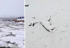 Arequipa: Comuneros piden ayuda urgente por intensa nevada que viene matando su ganado (VIDEO)