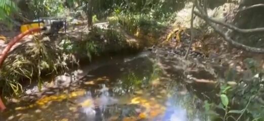 El incidente fue registrado por un conductor en la ruta Pucallpa-Campoverde y el video se viralizó en redes sociales.