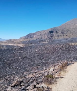 Incendio afecta pastizales y zonas de cultivos en Cabanaconde, Caylloma