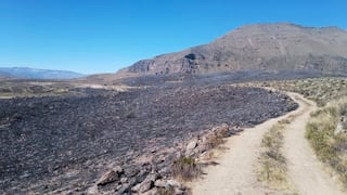 Incendio afecta pastizales y zonas de cultivos en Cabanaconde, Caylloma
