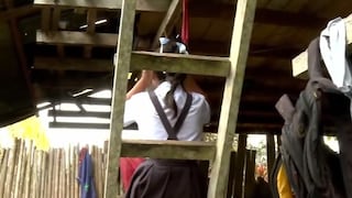 OEA: Violencia contra niñas y adolescentes en Perú es problema estructural del Estado