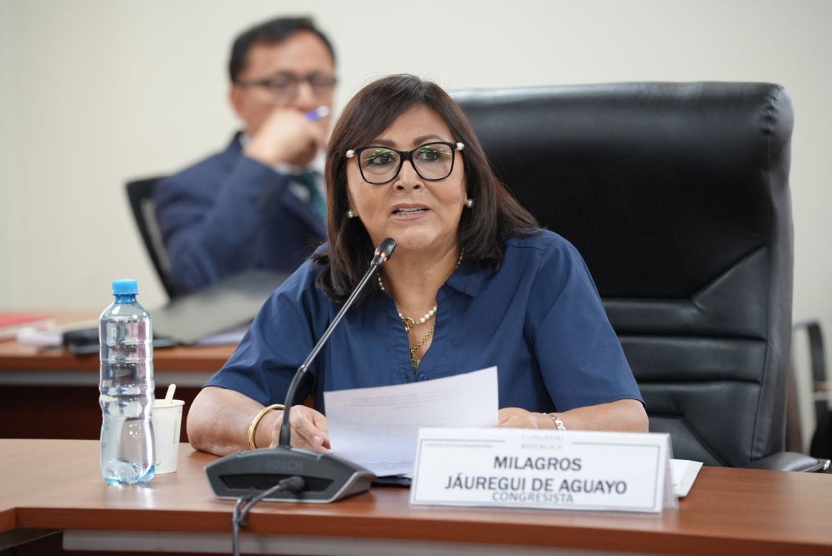 (Foto: Congreso)