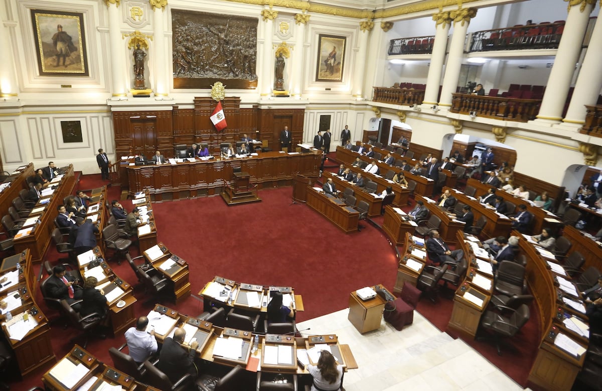 Las facultades deben ser aprobadas en la Cámara de Diputados y luego pasar a la Cámara de Senadores. (Foto referencial: USI)