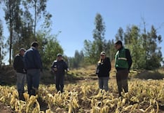 Sequía obliga a retrasar la siembra en la región Junín
