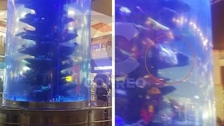 Descuido en acuario de Mega Plaza: Graban el fallecimiento de un pez (VIDEO)