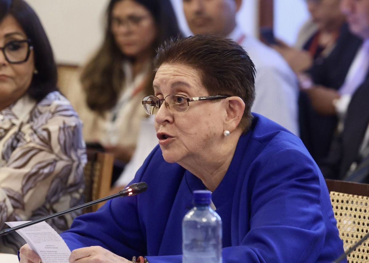 La senadora de Renovación Popular criticó a los parlamentarios que no participaron en la votación de la Comisión de Constitución, que aprobó ampliar de 20 a 27 las materias del dictamen de facultades legislativas. Alcorta defendió el acuerdo con la bancada de Obras y aseguró que el texto está listo para su debate en el Pleno. (Foto: Congreso)