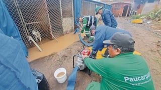 Lluvias en Arequipa: Refugio de perros abandonados se inundó en Chiguata