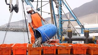 Suspenden pesca de anchoveta frente a las costas de Pisco