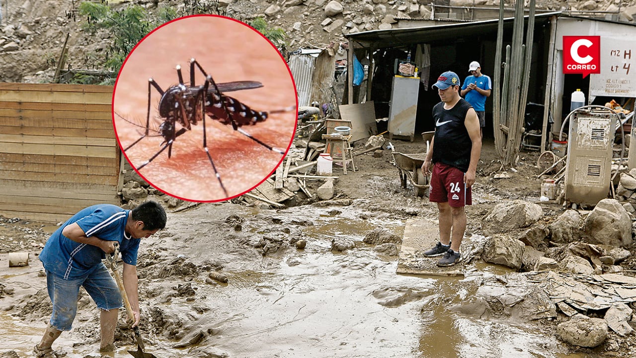 La acumulación de agua y la alta humedad tras las lluvias favorecen la proliferación de mosquitos y elevan el riesgo de dengue y reacciones alérgicas severas.