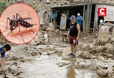 Tras huaicos y lluvias intensas: cómo prevenir picaduras y reducir el riesgo de dengue