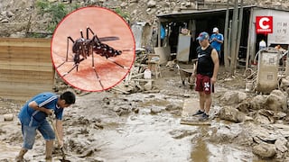 Tras huaicos y lluvias intensas: cómo prevenir picaduras y reducir el riesgo de dengue