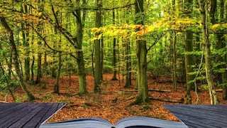 Libros que buscan reducir su impacto ambiental