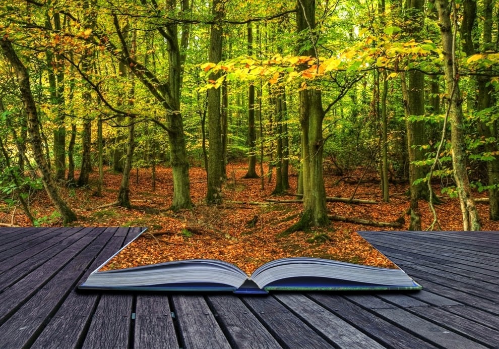 Penguin Random House Grupo Editorial anuncia la implementación de la certificación Forest Stewardship Council (FSC) en el Perú. Foto: Difusión