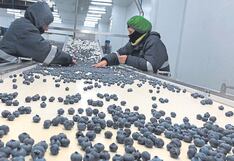 Agroindustria liberteña dinamiza la economía regional y genera más de 95 mil empleos formales