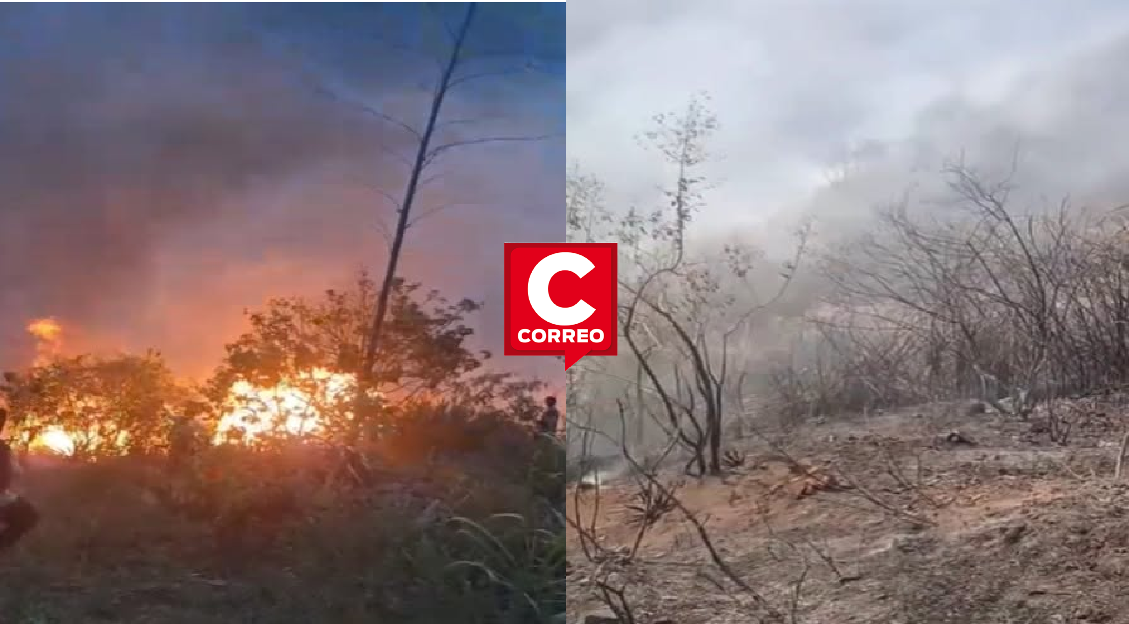 Huancayo: incendio forestal arrasa más de cinco hectáreas de cultivos y deja dos comuneros heridos