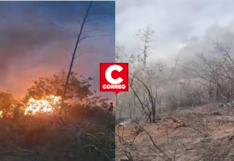 Huancayo: incendio forestal arrasa más de cinco hectáreas de cultivos y deja dos comuneros heridos