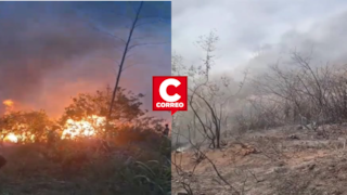 Huancayo: incendio forestal arrasa más de cinco hectáreas de cultivos y deja dos comuneros heridos