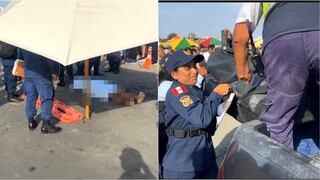 Pisco: joven extranjero muere ahogado en la playa El Chaco en Paracas