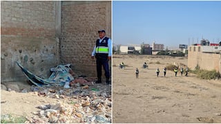 Ica: operativo “Luciérnaga” interviene zonas críticas por consumo de drogas en Parcona