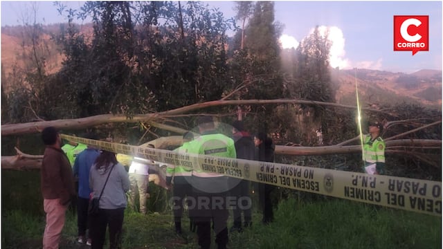 Huancayo: Árbol de unos 10 metros de altura le aplasta la cabeza a escolar y la mata