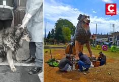 ‘Oso’: El perro callejero que ahora tiene su propio monumento y es el símbolo del parque canino (VIDEO)