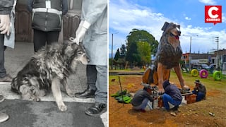 ‘Oso’: El perro callejero que ahora tiene su propio monumento y es el símbolo del parque canino (VIDEO)