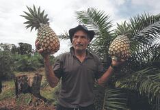 Exportaciones de Junín crecen más del 18 % en el 2024