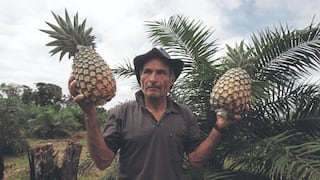 Exportaciones de Junín crecen más del 18 % en el 2024